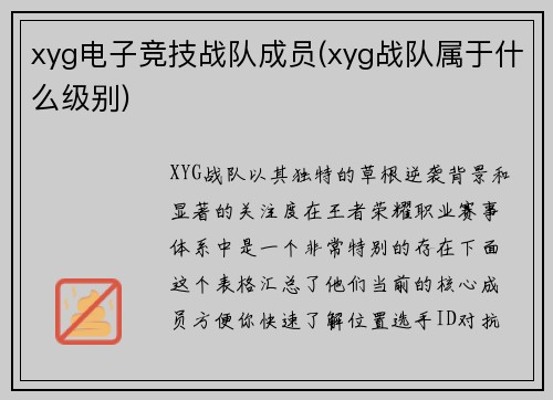 xyg电子竞技战队成员(xyg战队属于什么级别)