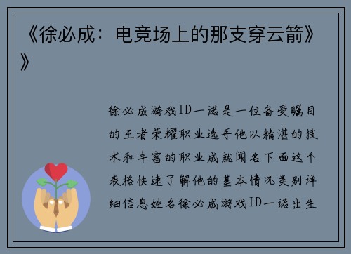 《徐必成：电竞场上的那支穿云箭》》